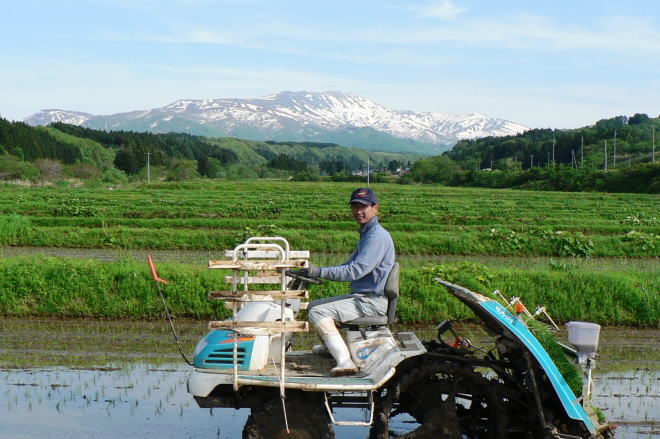 月山高原で田植えする「つや姫」の生産者　齋藤力