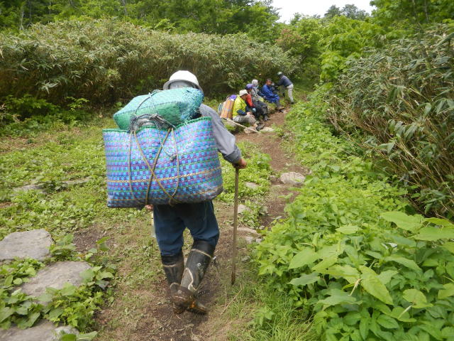 ３０ｋｇの月山筍を背負い下山する採取職人