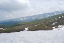 雪渓が残る山