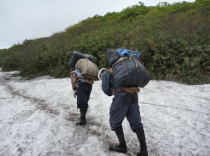 リック一杯の雪渓根曲（月山筍）を背負う