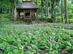 八幡様境内