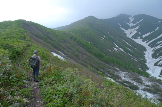 湯殿山側のタケノコ山、下方の雪渓は濁り沢（６月１０日）