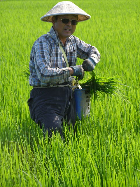 菅原弘行