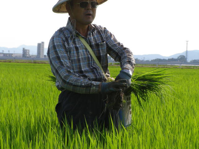 菅原弘行