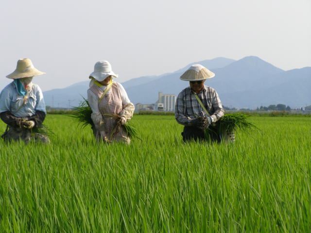 きつい草取りの合間に微笑む菅原弘行夫婦（背景にカントリーエレベーター）