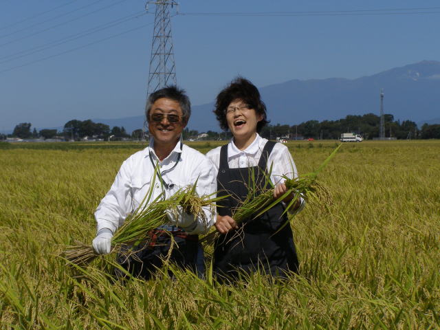 合鴨栽培の「つや姫」の作柄を確認して喜ぶ菅原夫婦