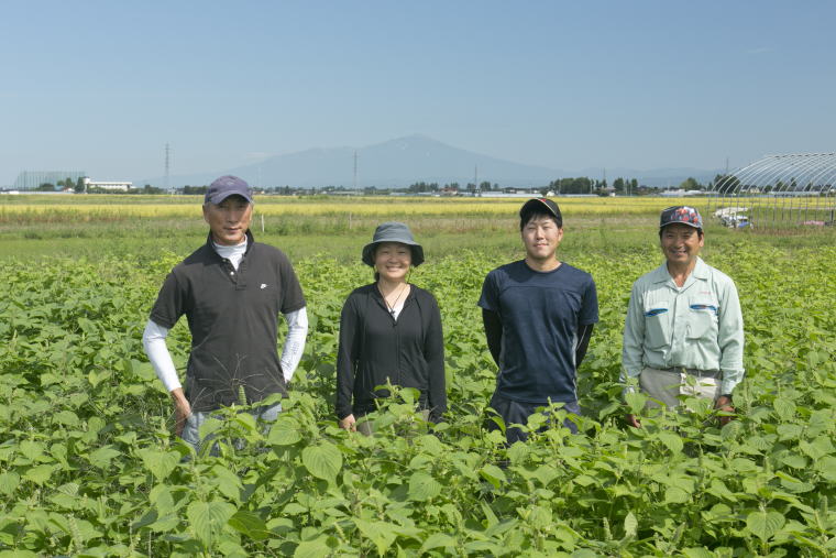 庄内野の風ファームの生産者 